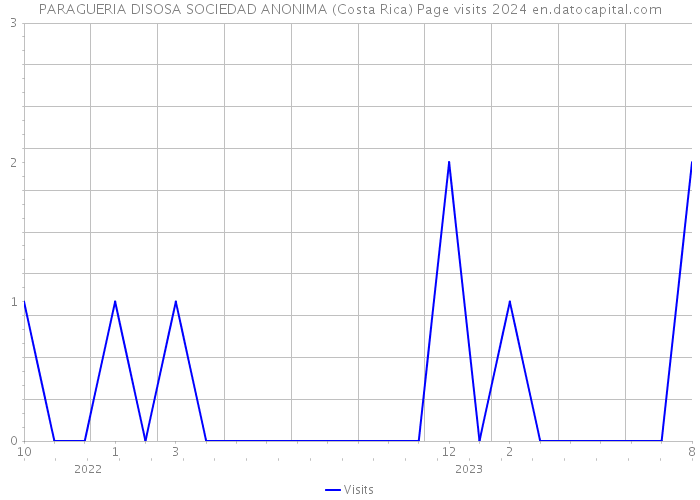 PARAGUERIA DISOSA SOCIEDAD ANONIMA (Costa Rica) Page visits 2024 