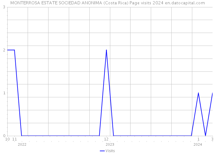 MONTERROSA ESTATE SOCIEDAD ANONIMA (Costa Rica) Page visits 2024 