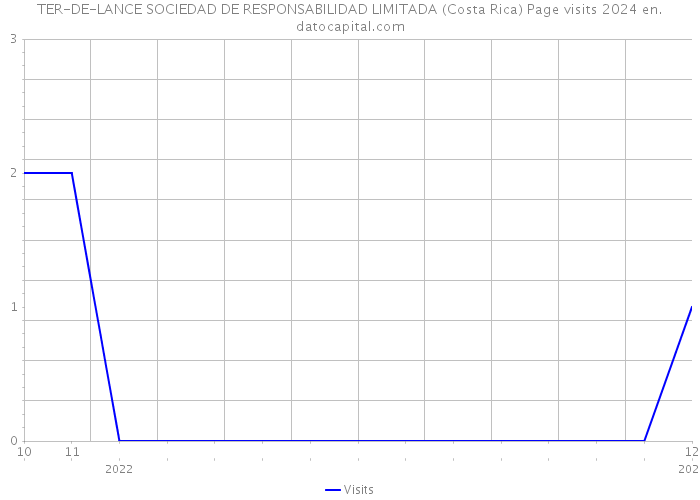 TER-DE-LANCE SOCIEDAD DE RESPONSABILIDAD LIMITADA (Costa Rica) Page visits 2024 