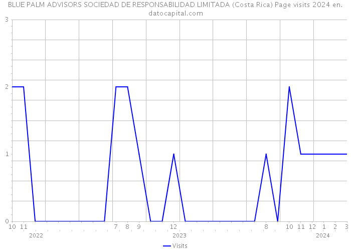BLUE PALM ADVISORS SOCIEDAD DE RESPONSABILIDAD LIMITADA (Costa Rica) Page visits 2024 