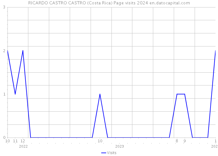 RICARDO CASTRO CASTRO (Costa Rica) Page visits 2024 