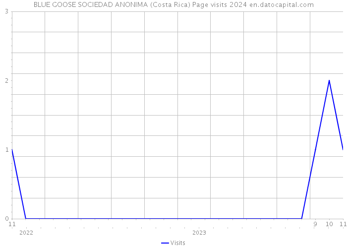 BLUE GOOSE SOCIEDAD ANONIMA (Costa Rica) Page visits 2024 