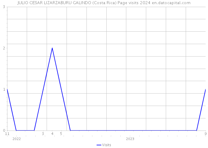 JULIO CESAR LIZARZABURU GALINDO (Costa Rica) Page visits 2024 