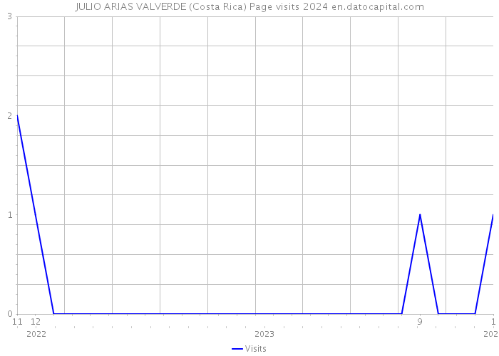JULIO ARIAS VALVERDE (Costa Rica) Page visits 2024 