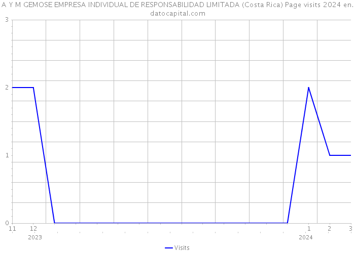 A Y M GEMOSE EMPRESA INDIVIDUAL DE RESPONSABILIDAD LIMITADA (Costa Rica) Page visits 2024 