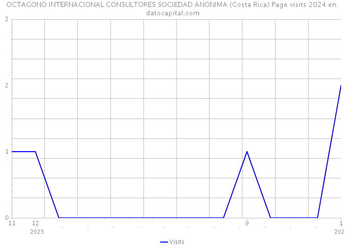 OCTAGONO INTERNACIONAL CONSULTORES SOCIEDAD ANONIMA (Costa Rica) Page visits 2024 