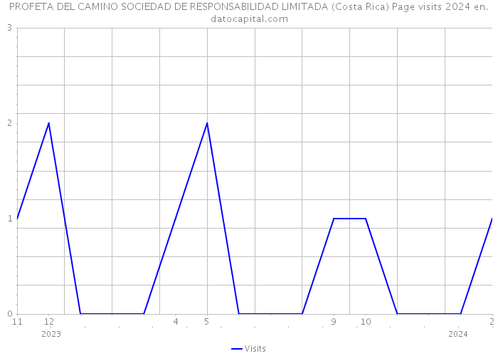 PROFETA DEL CAMINO SOCIEDAD DE RESPONSABILIDAD LIMITADA (Costa Rica) Page visits 2024 