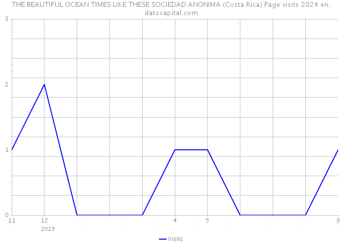 THE BEAUTIFUL OCEAN TIMES LIKE THESE SOCIEDAD ANONIMA (Costa Rica) Page visits 2024 
