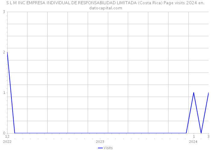 S L M INC EMPRESA INDIVIDUAL DE RESPONSABILIDAD LIMITADA (Costa Rica) Page visits 2024 