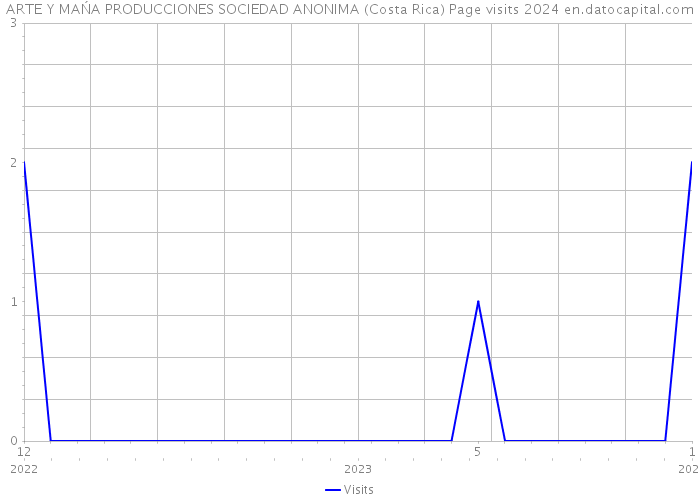 ARTE Y MAŃA PRODUCCIONES SOCIEDAD ANONIMA (Costa Rica) Page visits 2024 