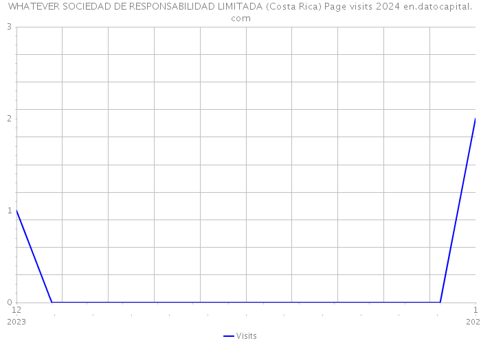WHATEVER SOCIEDAD DE RESPONSABILIDAD LIMITADA (Costa Rica) Page visits 2024 