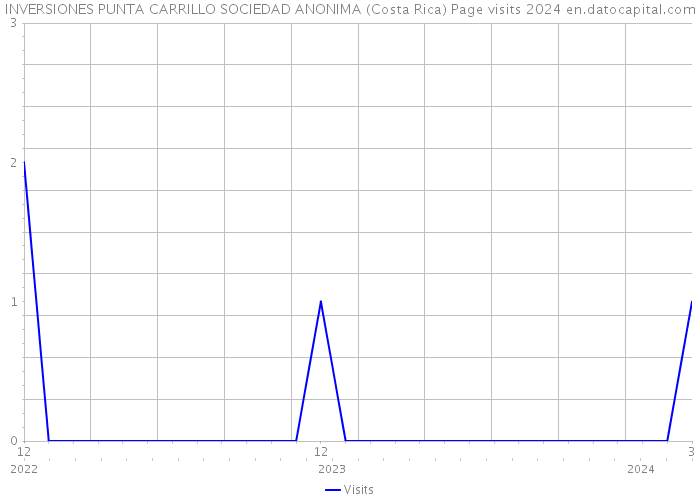 INVERSIONES PUNTA CARRILLO SOCIEDAD ANONIMA (Costa Rica) Page visits 2024 