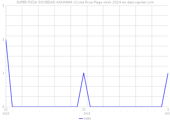SUPER PIZZA SOCIEDAD ANONIMA (Costa Rica) Page visits 2024 