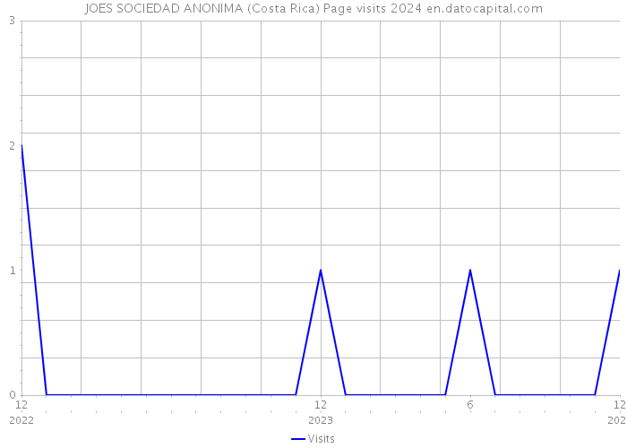 JOES SOCIEDAD ANONIMA (Costa Rica) Page visits 2024 