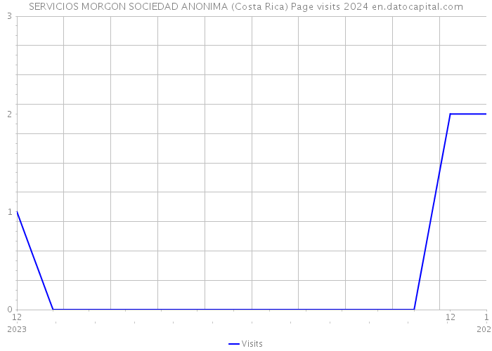 SERVICIOS MORGON SOCIEDAD ANONIMA (Costa Rica) Page visits 2024 
