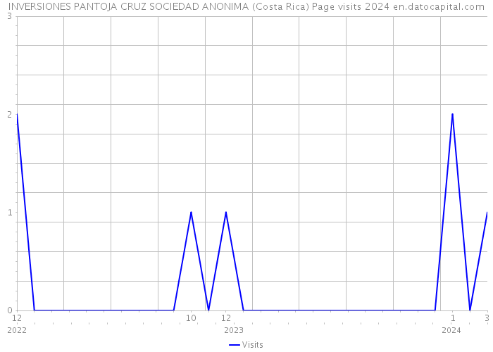 INVERSIONES PANTOJA CRUZ SOCIEDAD ANONIMA (Costa Rica) Page visits 2024 