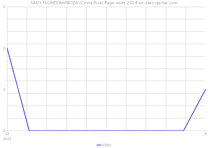 SADY FLORES BARBOZA (Costa Rica) Page visits 2024 