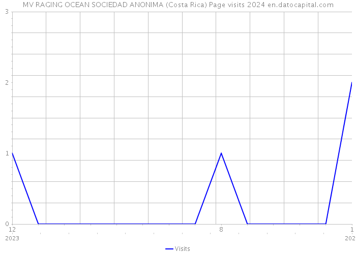 MV RAGING OCEAN SOCIEDAD ANONIMA (Costa Rica) Page visits 2024 
