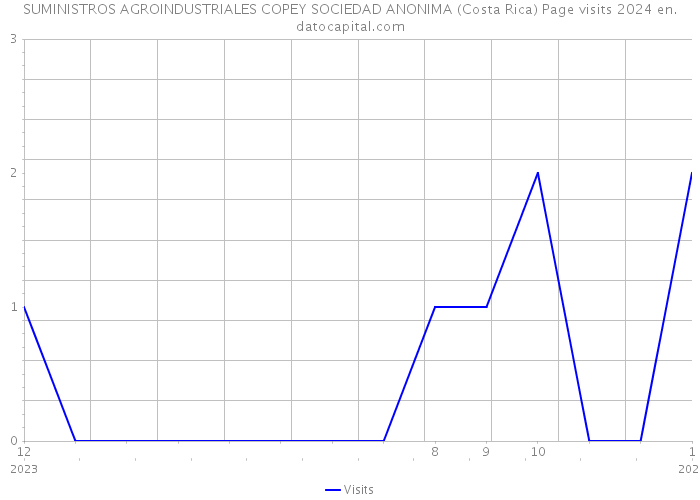 SUMINISTROS AGROINDUSTRIALES COPEY SOCIEDAD ANONIMA (Costa Rica) Page visits 2024 