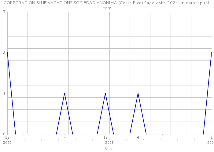 CORPORACION BLUE VACATIONS SOCIEDAD ANONIMA (Costa Rica) Page visits 2024 
