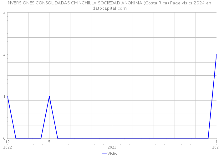 INVERSIONES CONSOLIDADAS CHINCHILLA SOCIEDAD ANONIMA (Costa Rica) Page visits 2024 