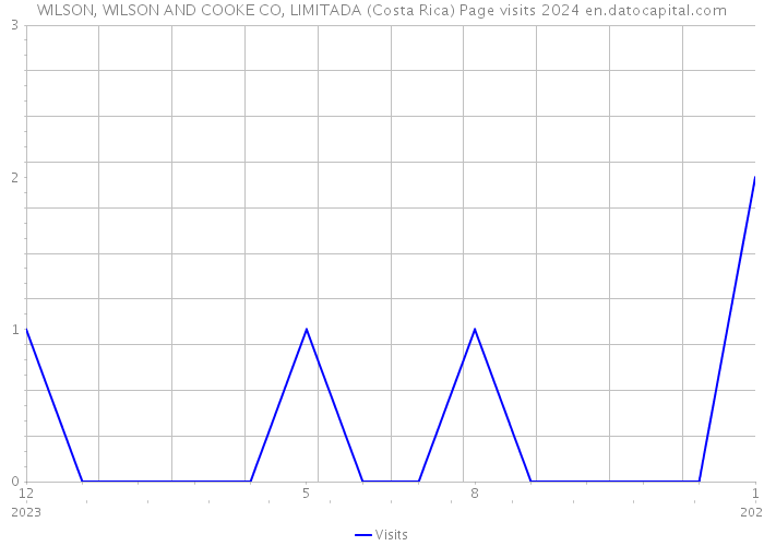 WILSON, WILSON AND COOKE CO, LIMITADA (Costa Rica) Page visits 2024 