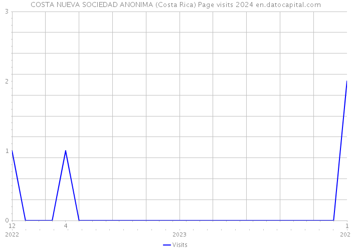 COSTA NUEVA SOCIEDAD ANONIMA (Costa Rica) Page visits 2024 