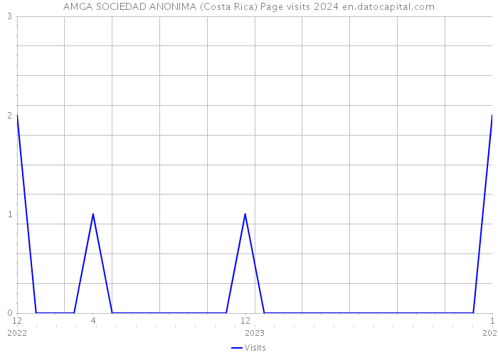AMGA SOCIEDAD ANONIMA (Costa Rica) Page visits 2024 