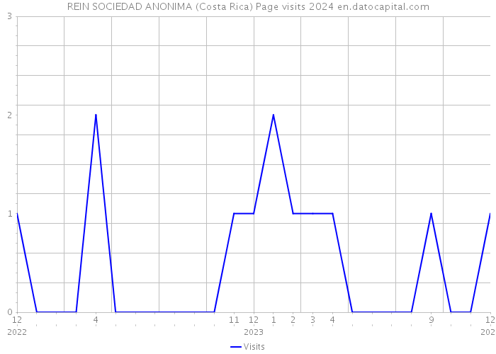 REIN SOCIEDAD ANONIMA (Costa Rica) Page visits 2024 