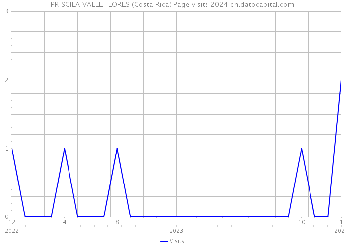 PRISCILA VALLE FLORES (Costa Rica) Page visits 2024 