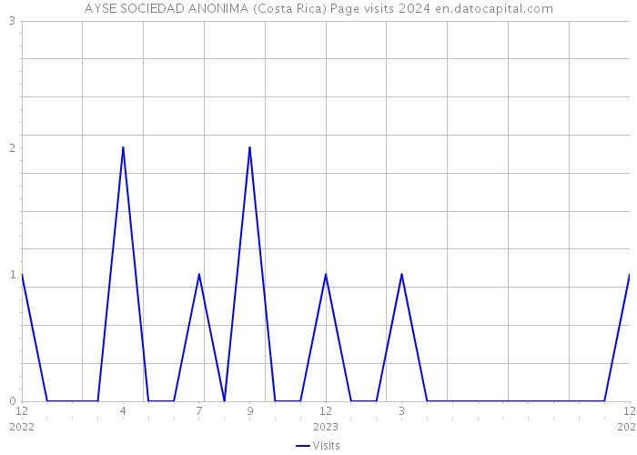AYSE SOCIEDAD ANONIMA (Costa Rica) Page visits 2024 