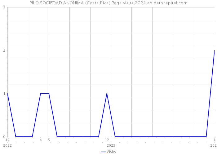 PILO SOCIEDAD ANONIMA (Costa Rica) Page visits 2024 