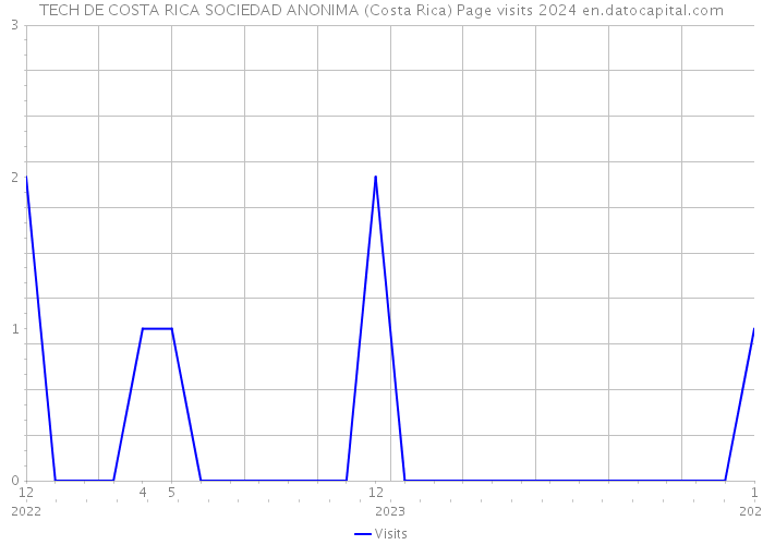 TECH DE COSTA RICA SOCIEDAD ANONIMA (Costa Rica) Page visits 2024 