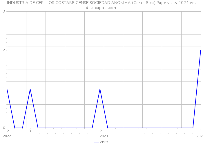 INDUSTRIA DE CEPILLOS COSTARRICENSE SOCIEDAD ANONIMA (Costa Rica) Page visits 2024 
