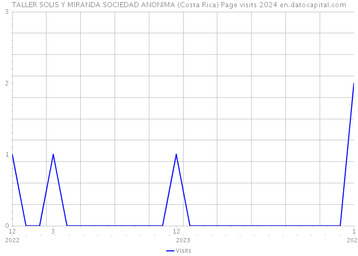 TALLER SOLIS Y MIRANDA SOCIEDAD ANONIMA (Costa Rica) Page visits 2024 