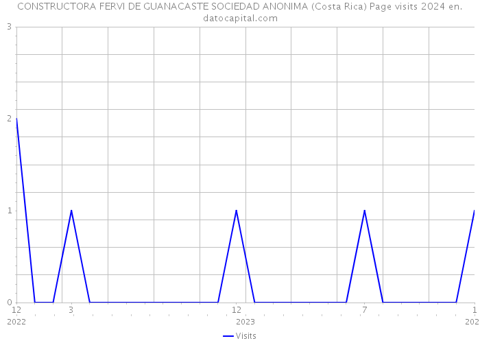 CONSTRUCTORA FERVI DE GUANACASTE SOCIEDAD ANONIMA (Costa Rica) Page visits 2024 