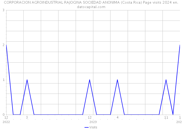 CORPORACION AGROINDUSTRIAL RAJOGINA SOCIEDAD ANONIMA (Costa Rica) Page visits 2024 