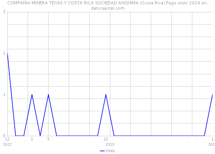 COMPAŃIA MINERA TEXAS Y COSTA RICA SOCIEDAD ANONIMA (Costa Rica) Page visits 2024 