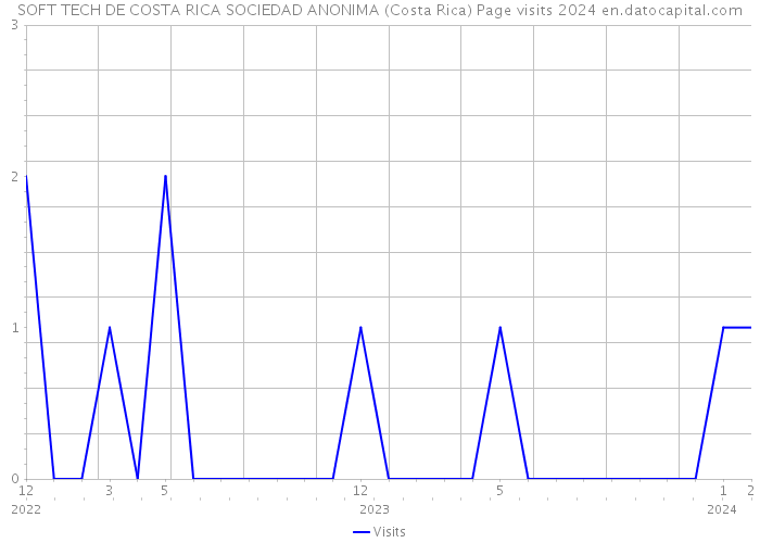 SOFT TECH DE COSTA RICA SOCIEDAD ANONIMA (Costa Rica) Page visits 2024 