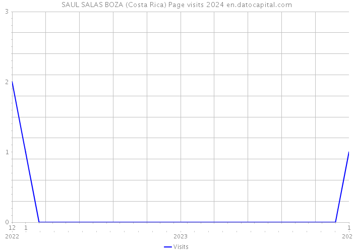 SAUL SALAS BOZA (Costa Rica) Page visits 2024 