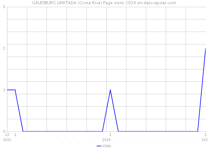 GALESBURG LIMITADA (Costa Rica) Page visits 2024 