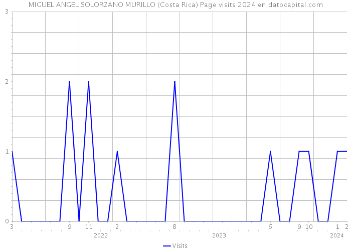 MIGUEL ANGEL SOLORZANO MURILLO (Costa Rica) Page visits 2024 