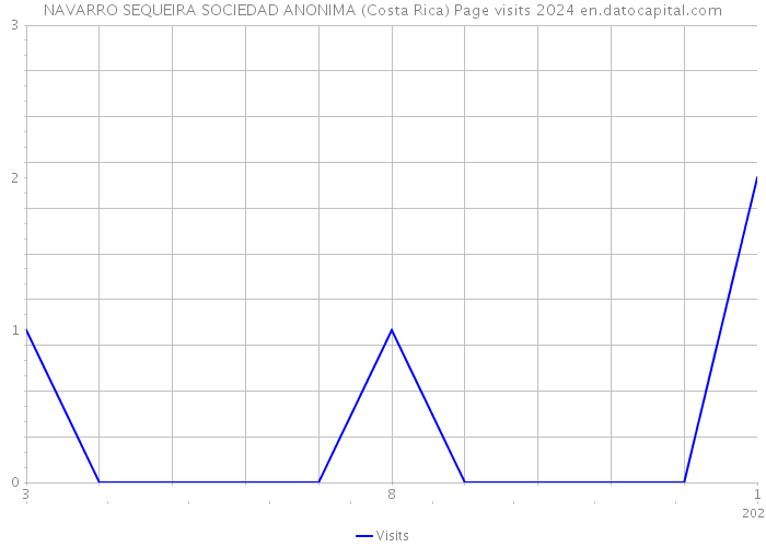 NAVARRO SEQUEIRA SOCIEDAD ANONIMA (Costa Rica) Page visits 2024 