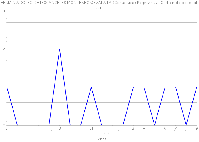 FERMIN ADOLFO DE LOS ANGELES MONTENEGRO ZAPATA (Costa Rica) Page visits 2024 