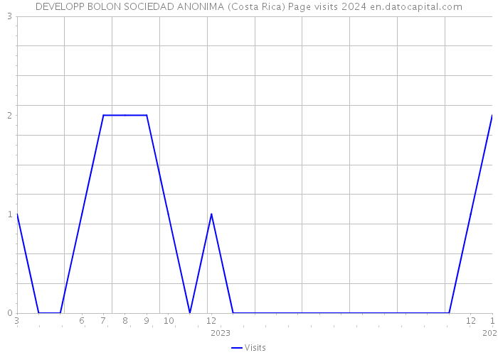 DEVELOPP BOLON SOCIEDAD ANONIMA (Costa Rica) Page visits 2024 