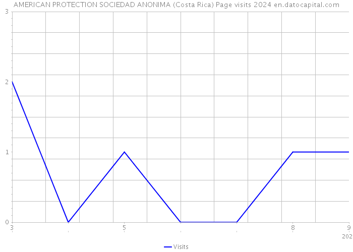 AMERICAN PROTECTION SOCIEDAD ANONIMA (Costa Rica) Page visits 2024 