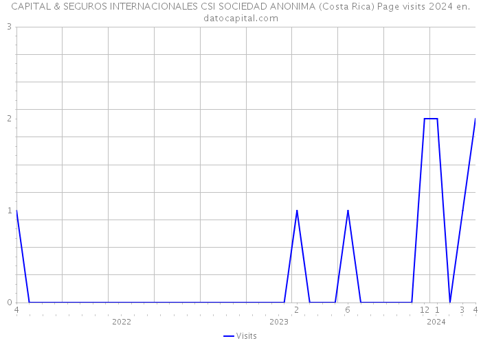 CAPITAL & SEGUROS INTERNACIONALES CSI SOCIEDAD ANONIMA (Costa Rica) Page visits 2024 