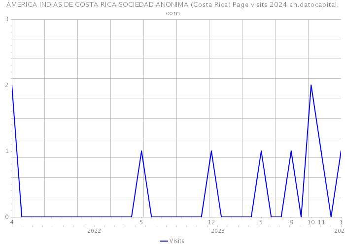 AMERICA INDIAS DE COSTA RICA SOCIEDAD ANONIMA (Costa Rica) Page visits 2024 