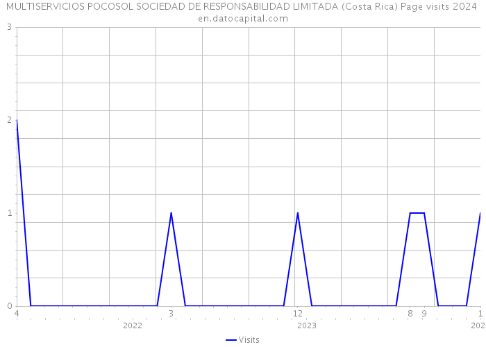 MULTISERVICIOS POCOSOL SOCIEDAD DE RESPONSABILIDAD LIMITADA (Costa Rica) Page visits 2024 