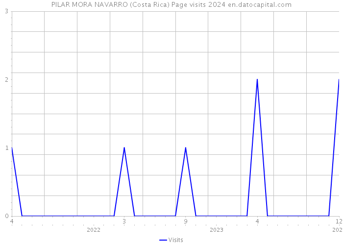 PILAR MORA NAVARRO (Costa Rica) Page visits 2024 